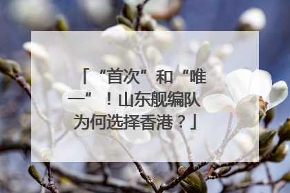 “首次”和“唯一”！山东舰编队为何选择香港？