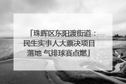 珠晖区东阳渡街道：民生实事人大票决项目落地 气排球赛点燃