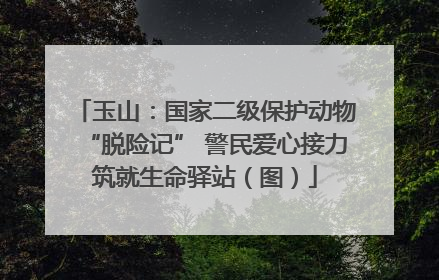 玉山：国家二级保护动物“脱险记” 警民爱心接力筑就生命驿站（图）