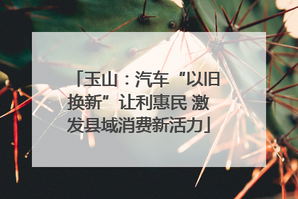 玉山：汽车“以旧换新”让利惠民 激发县域消费新活力