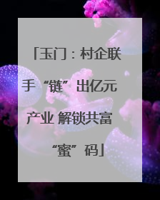 玉门：村企联手“链”出亿元产业 解锁共富“蜜”码