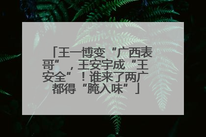 王一博变“广西表哥”，王安宇成“王安全”！谁来了两广都得“腌入味”