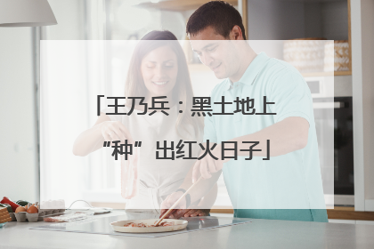 王乃兵：黑土地上“种”出红火日子