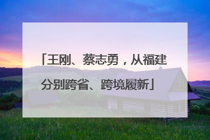 王刚、蔡志勇，从福建分别跨省、跨境履新