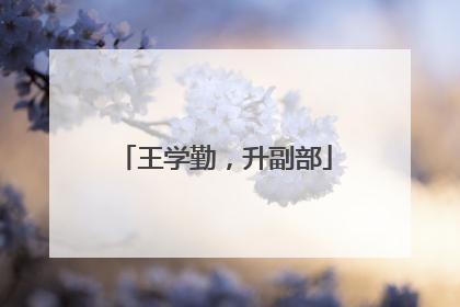 王学勤，升副部