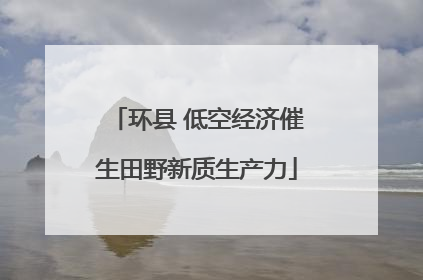 环县 低空经济催生田野新质生产力