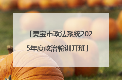 灵宝市政法系统2025年度政治轮训开班