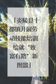 炎陵县十都镇开展劳动技能培训 绘就“致富有路”新图景