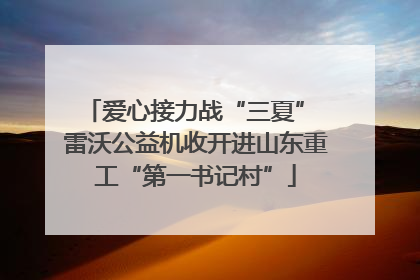 爱心接力战“三夏” 雷沃公益机收开进山东重工“第一书记村”