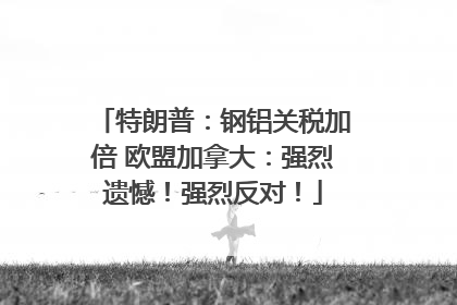 特朗普：钢铝关税加倍 欧盟加拿大：强烈遗憾！强烈反对！