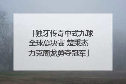 独牙传奇中式九球全球总决赛 楚秉杰力克周龙勇夺冠军