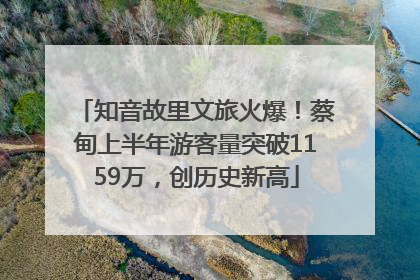 知音故里文旅火爆！蔡甸上半年游客量突破1159万，创历史新高