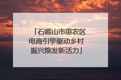 石嘴山市惠农区电商引擎驱动乡村振兴焕发新活力
