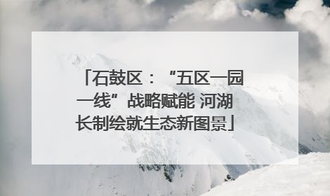 石鼓区：“五区一园一线”战略赋能 河湖长制绘就生态新图景