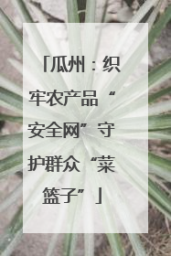 瓜州：织牢农产品“安全网”守护群众“菜篮子”