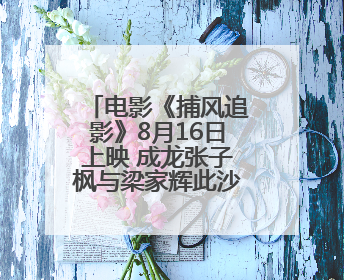 电影《捕风追影》8月16日上映 成龙张子枫与梁家辉此沙开启警匪对决