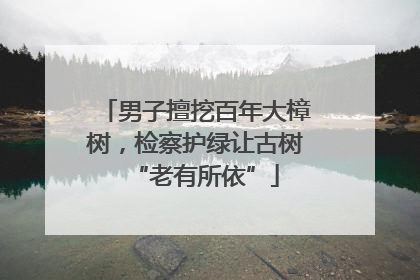 男子擅挖百年大樟树，检察护绿让古树“老有所依”