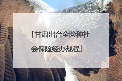 甘肃出台全险种社会保险经办规程