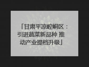 甘肃平凉崆峒区：引进蔬菜新品种 推动产业提档升级