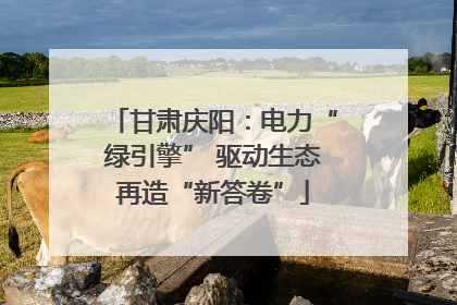 甘肃庆阳：电力“绿引擎” 驱动生态再造“新答卷”