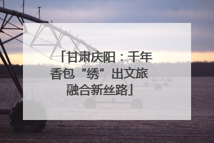 甘肃庆阳：千年香包“绣”出文旅融合新丝路