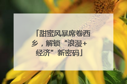 甜蜜风暴席卷西乡，解锁“浪漫+经济”新密码