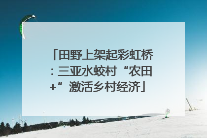 田野上架起彩虹桥：三亚水蛟村“农田+”激活乡村经济