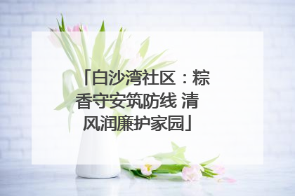 白沙湾社区：粽香守安筑防线 清风润廉护家园