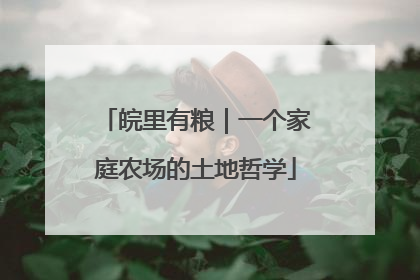 皖里有粮｜一个家庭农场的土地哲学
