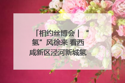 相约丝博会｜“氢”风徐来 看西咸新区泾河新城氢能产业聚链成势
