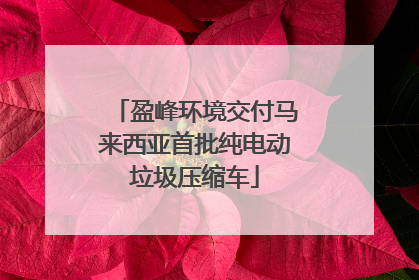 盈峰环境交付马来西亚首批纯电动垃圾压缩车