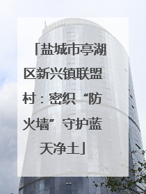 盐城市亭湖区新兴镇联盟村：密织“防火墙”守护蓝天净土