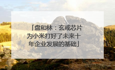 盘和林：玄戒芯片为小米打好了未来十年企业发展的基础