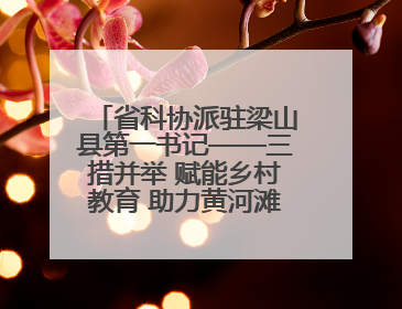 省科协派驻梁山县第一书记——三措并举 赋能乡村教育 助力黄河滩娃健康成长