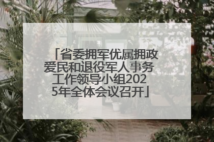 省委拥军优属拥政爱民和退役军人事务工作领导小组2025年全体会议召开