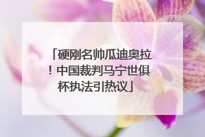 硬刚名帅瓜迪奥拉！中国裁判马宁世俱杯执法引热议