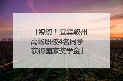 祝贺！宜宾叙州高场职校4名同学获得国家奖学金