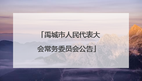 禹城市人民代表大会常务委员会公告