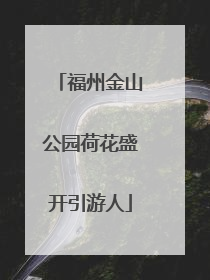 福州金山公园荷花盛开引游人