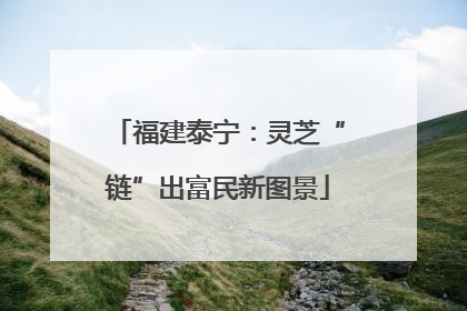 福建泰宁：灵芝“链”出富民新图景