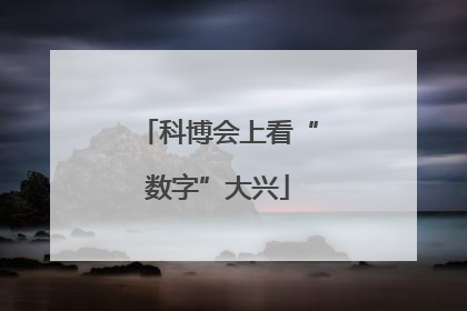 科博会上看“数字”大兴