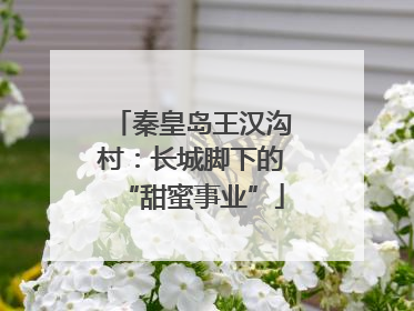 秦皇岛王汉沟村：长城脚下的“甜蜜事业”