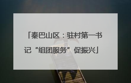 秦巴山区：驻村第一书记“组团服务”促振兴