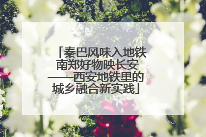 秦巴风味入地铁 南郑好物映长安——西安地铁里的城乡融合新实践