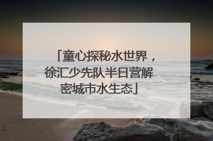 童心探秘水世界，徐汇少先队半日营解密城市水生态