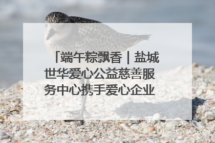 端午粽飘香｜盐城世华爱心公益慈善服务中心携手爱心企业发起情暖“城市守护者”慰问活动