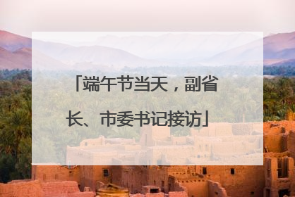 端午节当天，副省长、市委书记接访