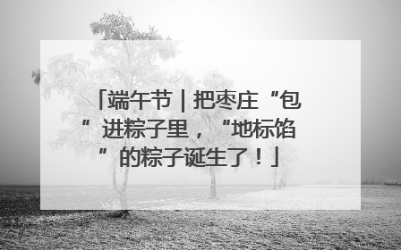 端午节｜把枣庄“包”进粽子里，“地标馅”的粽子诞生了！