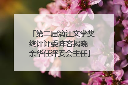 第二届漓江文学奖终评评委阵容揭晓 余华任评委会主任