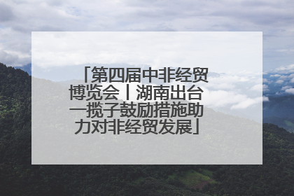 第四届中非经贸博览会丨湖南出台一揽子鼓励措施助力对非经贸发展